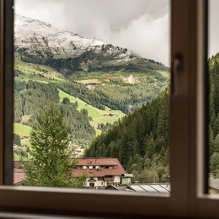 Schonblick * Tux