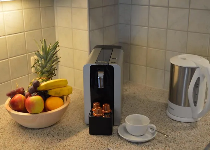 Schoenblick 图克斯