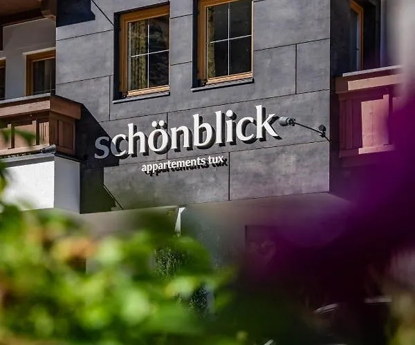 公寓 Schoenblick 图克斯